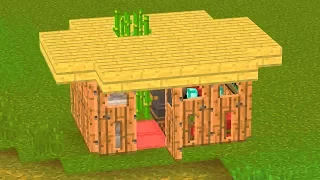 WORLD'S SMALLEST MINECRAFT HOUSES.. (USEFUL)