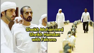 Sheikh Mohammed Sheikh Hamdan with Falcons.. 2018