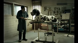 DOGMAN Trailer