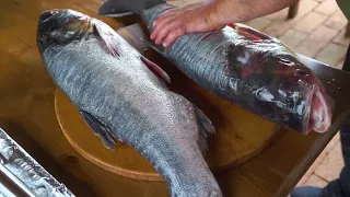 Cooking Fish for Dinner! 2 Large Silver Carp Baked in a Russian Oven.