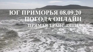 Live 📢 | Юг Приморья. Тайфун Хайшен на подходе. Прямая трансляция