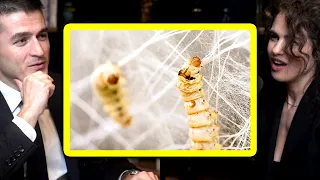 How 17,000 silkworms built a giant structure | Neri Oxman and Lex Fridman