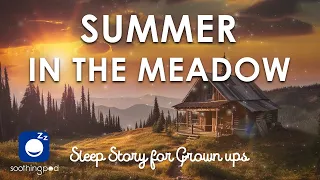 Bedtime Sleep Stories | 🏖 Summer in The Meadow 🌺 | Sleep Story for Grown Ups | Sleepy Summer Journey