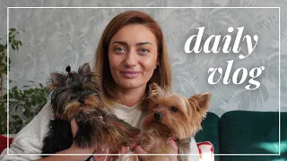 DAILY VLOG🍊:POCZĄTKI BYWAJĄ TRUDNE🐶PIESKIE ŻYCIE🥳PARTY SKINCARE |RozgadanaTv