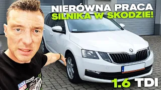 WSTĘPNA DIAGNOZA NIERÓWNOMIERNEJ PRACY 1.6 TDI!