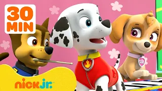 PAW Patrol Teamwork Rescues & Adventures! w/ Chase and Skye 💗 30 Minute Compilation | Nick Jr.