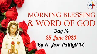Daily Morning Blessing, Word of God & Prayer to Rosa Mystica (Day 14) - Fr Jose Palliyil VC
