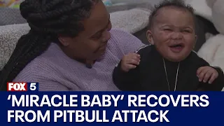 'Miracle baby' recovers from pit bull attack in DC | FOX 5 DC