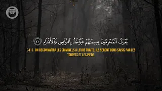 😍 ❤️Yasser Al Zailay (ياسر الزيلعي) | Sourate Ar-Rahman (سورة الرحمن)❤️😍