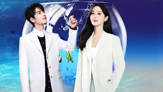 Weibo Night's luxurious data was exposed, Yang Zi and xiao zhan are the best