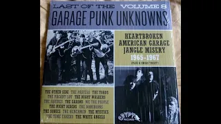 Various - Last of the Garage Punk Unknowns 1965-67 Vol 8. (Full Album Vinyl  2016)