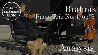 PLANET CHAMBER MUSIC – Analysis Brahms: Piano Trio No. 1 in B Major, op. 8 / Lee / Roozeman, Sunwoo