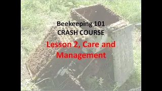 Lesson 2 - Beekeeping 101 Crash Course: Care and Management