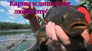 Ловля КАРПА и ЛИНЯ на ПОПЛАВОК и МОРМЫШКУ с ЛОДКИ