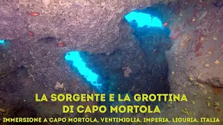 La sorgente e la grottina di Capo Mortola - Immersione a Capo Mortola, Ventimiglia, Imperia, Liguria