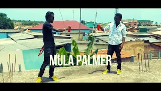 Mula Palmer - FRIEND KILLA (official music video ) shot by skido