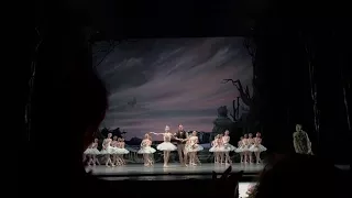 Final Bows for Swan Lake 6.14.17