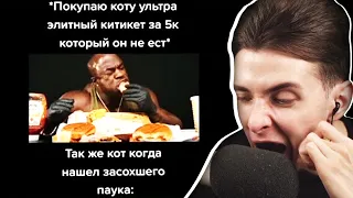 ХЕСУС СМОТРИТ: тик ток съел паука