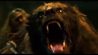 Bear & werebear shapeshifting & transformation scenes