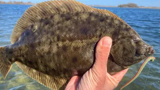 Shore Fishing for Limits+ of Winter Flounder with Sandworms and Gulp!