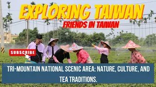 Exploring Taiwan's Tri-Mountain National Scenic Area: Nature 🌿, Culture 🏯, and Tea Traditions 🍵🇹🇼