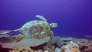 Family Friendly - Cocos Keeling Islands