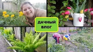 ПРЕОБРАЖЕНИЕ нашей ДАЧИ/Арсений ВЗЯЛ КАМЕРУ и ЛОПАТУ/Вика приехала ПОРАБОТАТЬ/Я как всегда ОТДЫХАЮ