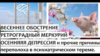 Весеннее обострение. Осенняя депрессия. Причины и следствия сезонных обострений 🧠