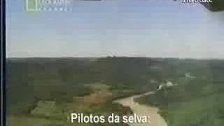 Pilotos da Selva