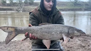 Fishing for Barbel and Chub on the River Severn!!!