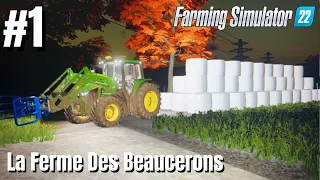 Première Coupe De Foin  |  La Ferme Des Beaucerons | Timelapse #1 |  Farming Simulator 22