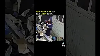 Worker saves kitten from dying