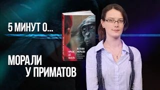 5 минут о морали у приматов