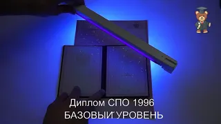 Диплом СПО 1996 БАЗОВЫЙ УРОВЕНЬ