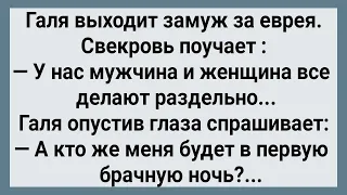 Как Галя За Еврея Замуж Выходила! Сборник Свежих Анекдотов! Юмор! Позитив!