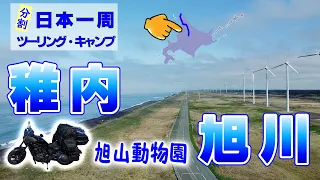 ゆっくり日本一周ツーリング・キャンプ (バイク旅）48日目(計85日目)　オトンルイ風力発電所、旭山動物園【レブル1100】