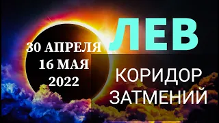 ♌ЛЕВ . КОРИДОР ЗАТМЕНИЙ 30 АПРЕЛЯ - 16 МАЯ 2022г.. ОБЩАЯ ЭНЕРГЕТИКА, ПОДСКАЗКИ.