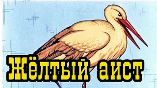 Жёлтый аист