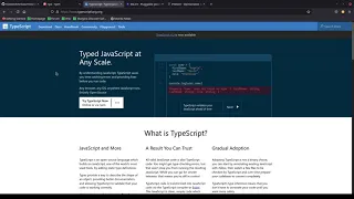 TypeScript in a Nutshell. Part 1: Init Project