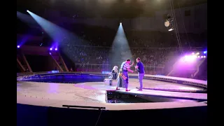 Выступление в цирке