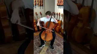 (Long ver.)Jonathan Roozeman plays Tonika's cello