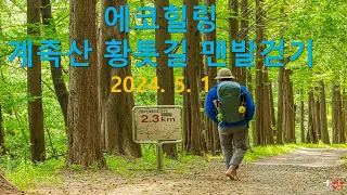 계족산 황톳길(14.5Km) 맨발걷기