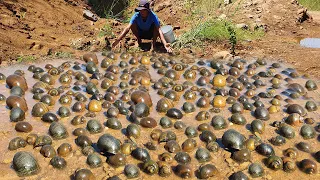 amazing 7 video fishing! a fisherman catch snails & clam a lots by best hand in my special place