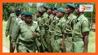 37 forest ranger recruits arrested with falsified documents
