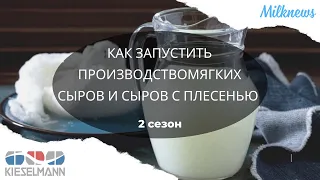 Как запустить производство мягких сыров и сыров с плесенью?