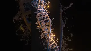 DNA in Motion: Short Animated Insights into Genetic Wonders