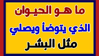 اسئلة دينية صعبة جدا واجوبتها 👍 اسئله دينيه -اختبر معلوماتك يامسلم - من هو زوج السيدة مريم في الجنة