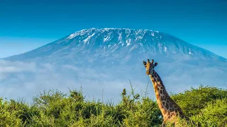 Kilimanjaro film 2018