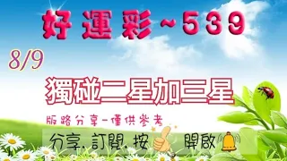 8/9 今彩539 獨碰二星加三星分享