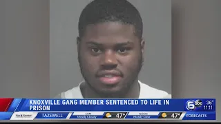 Knoxville gang member sentenced to life